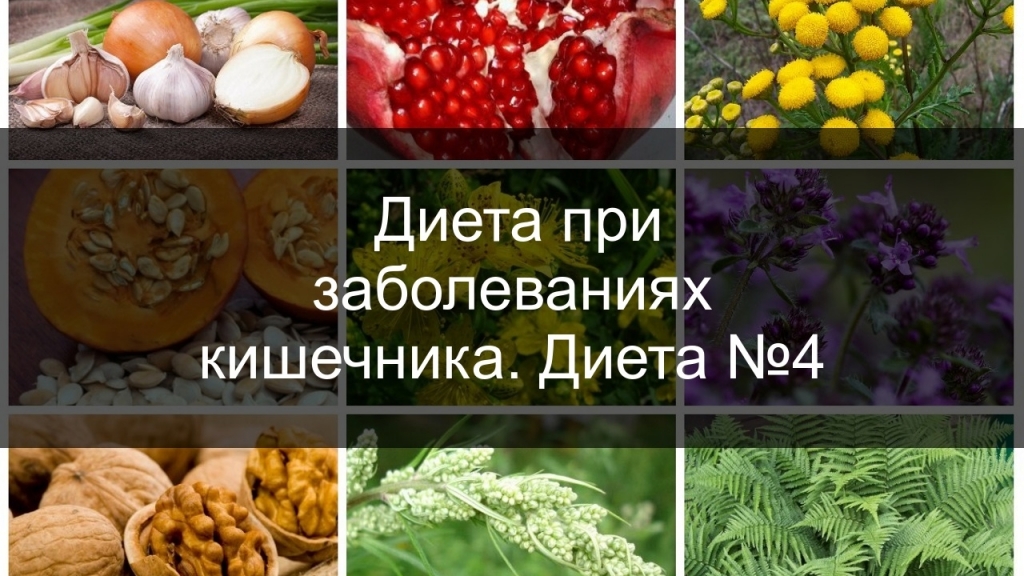 Диета 4 при заболеваниях кишечника Диета 4 при заболеваниях кишечника