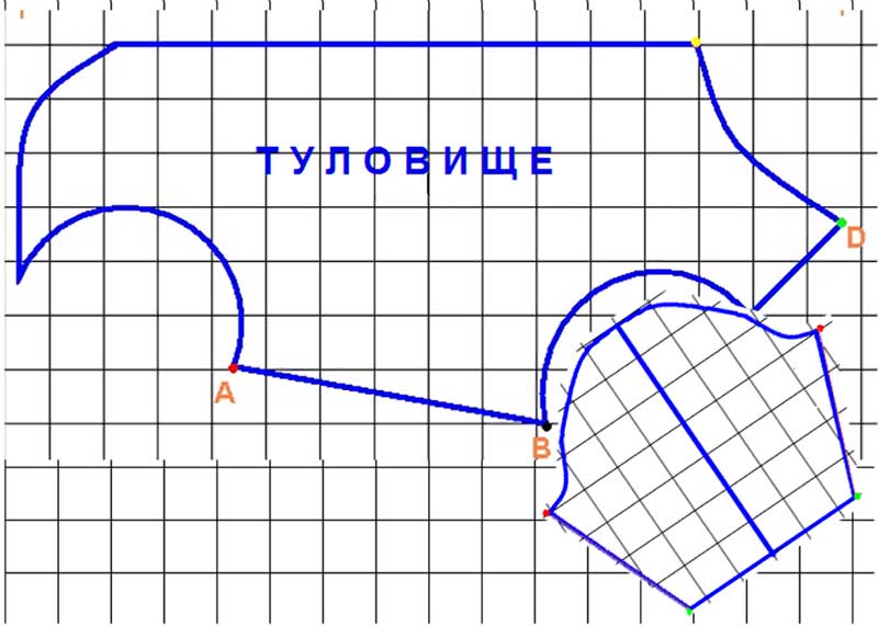 Одежда для таксы 